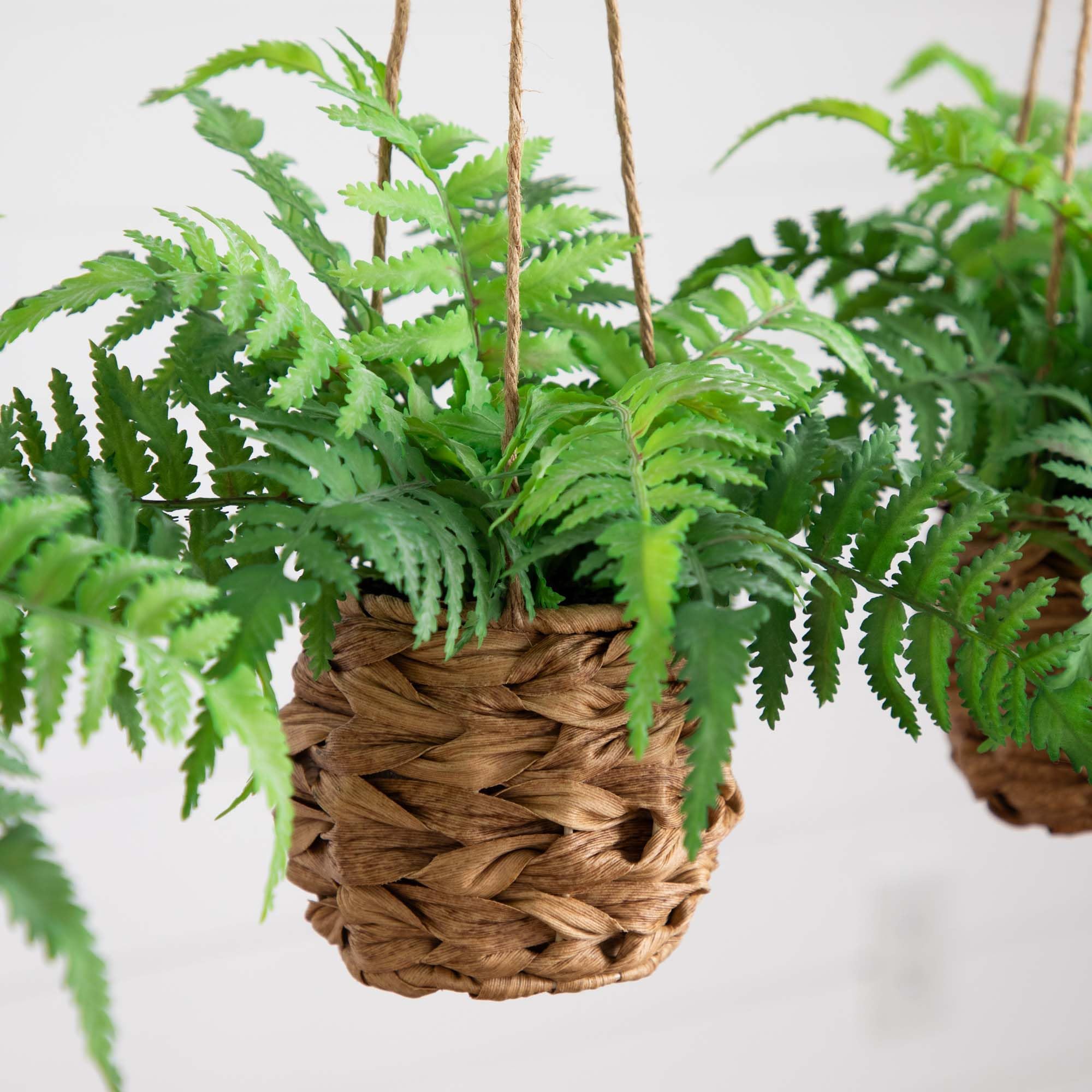 Nearly Natural 10-in Artificial Boston Ferns in Hanging Wicker Baskets, Set of 3 Fake Ferns for Indoor/Outdoor Use, Hanging Basket for Patio Decoration, UV Resistant - Image 4