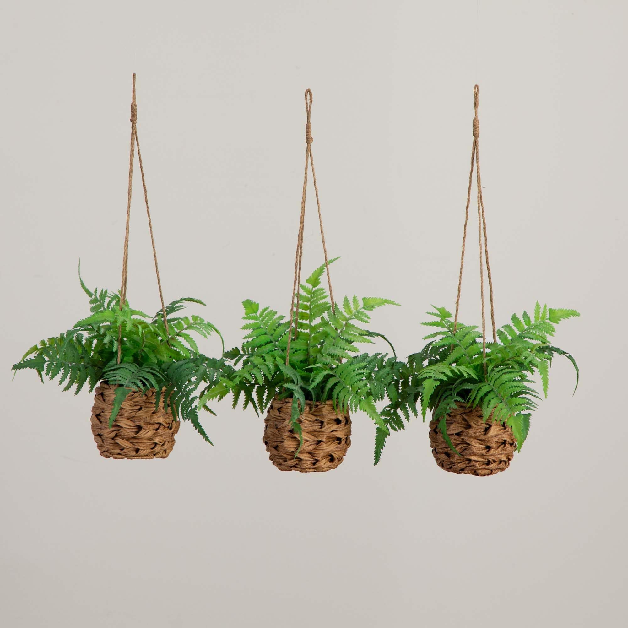 Nearly Natural 10-in Artificial Boston Ferns in Hanging Wicker Baskets, Set of 3 Fake Ferns for Indoor/Outdoor Use, Hanging Basket for Patio Decoration, UV Resistant - Image 5