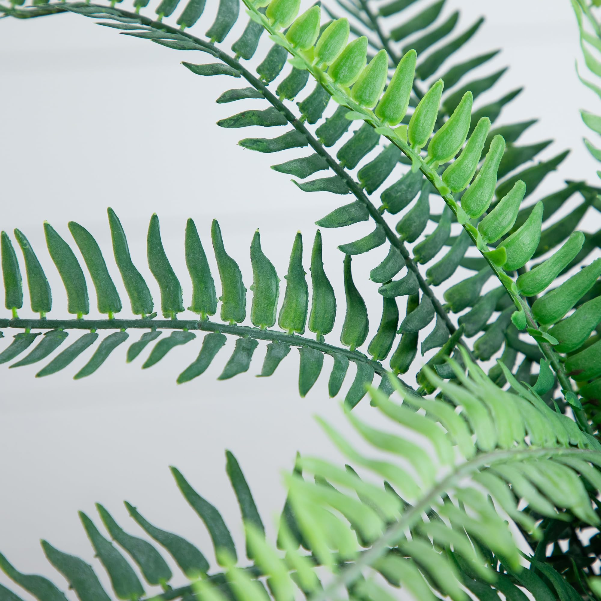 Nearly Natural 16-Inch Artificial Boston Fern Plant – Lifelike Greenery in Textured Cement Planter - Image 5