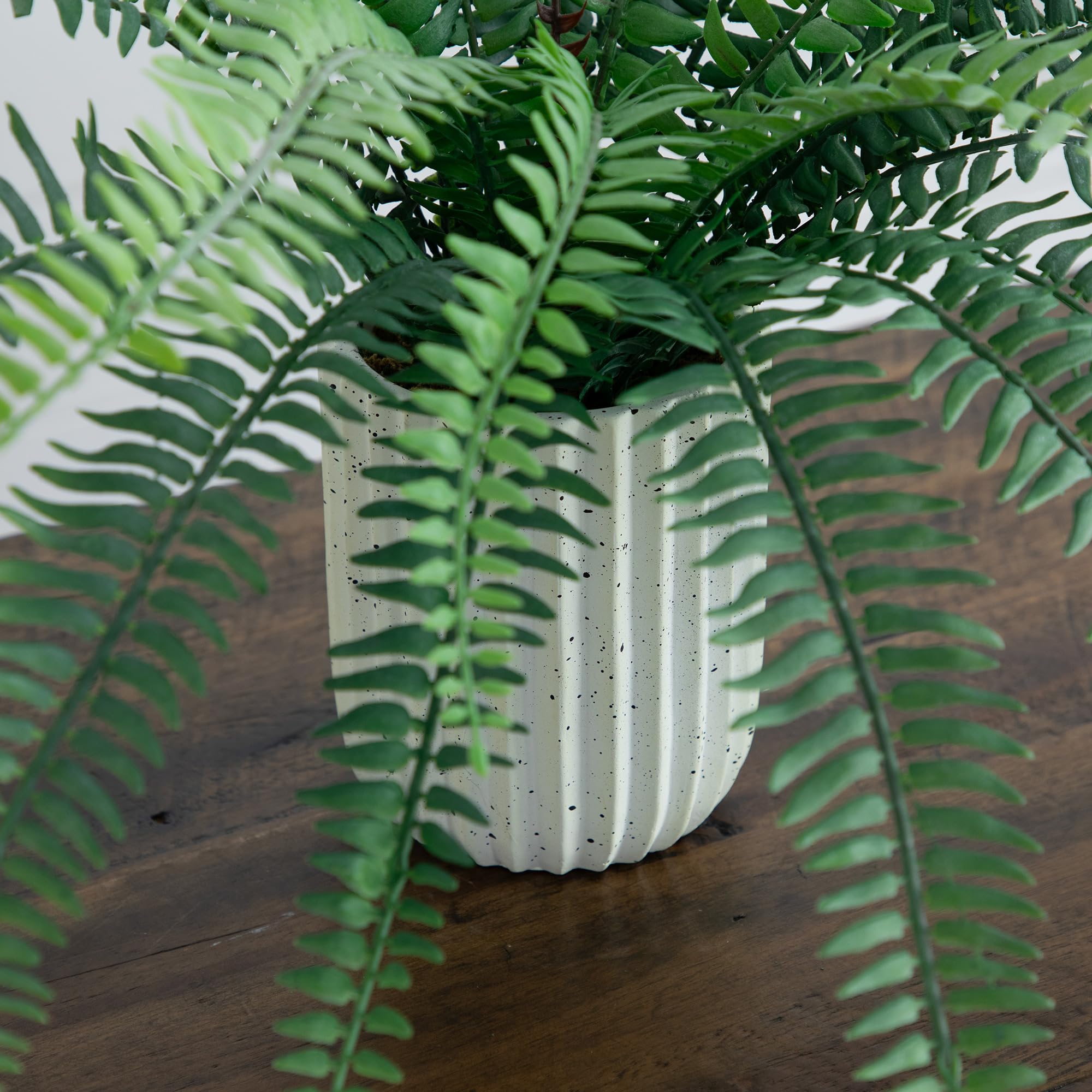 Nearly Natural 16-Inch Artificial Boston Fern Plant – Lifelike Greenery in Textured Cement Planter - Image 6