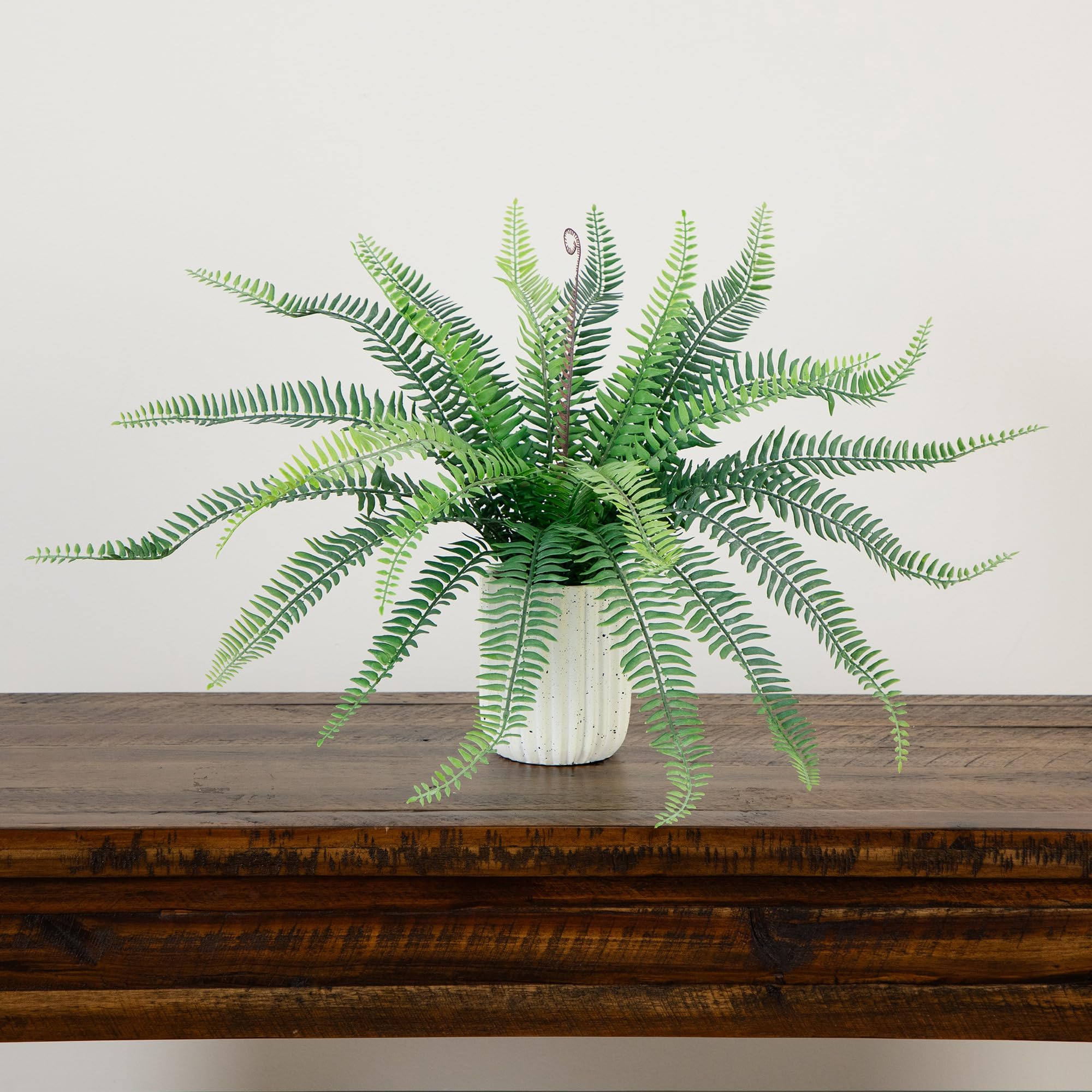 Nearly Natural 16-Inch Artificial Boston Fern Plant – Lifelike Greenery in Textured Cement Planter - Image 7