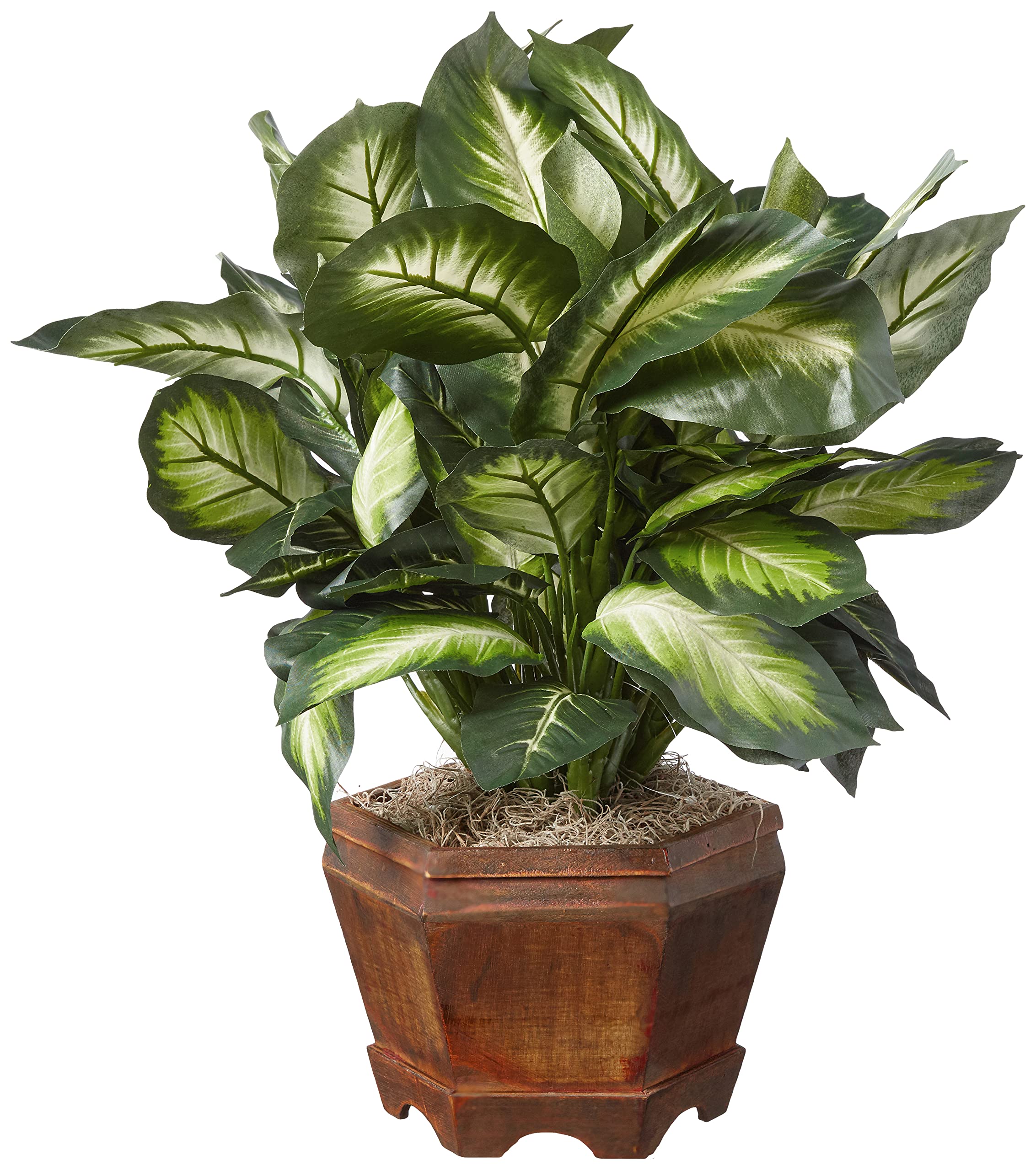 Nearly Natural 22IN Artificial Triple Golden Dieffenbachia Plant with Decorative Wood Planter, Faux Plant for Indoor Home Décor - Image 3