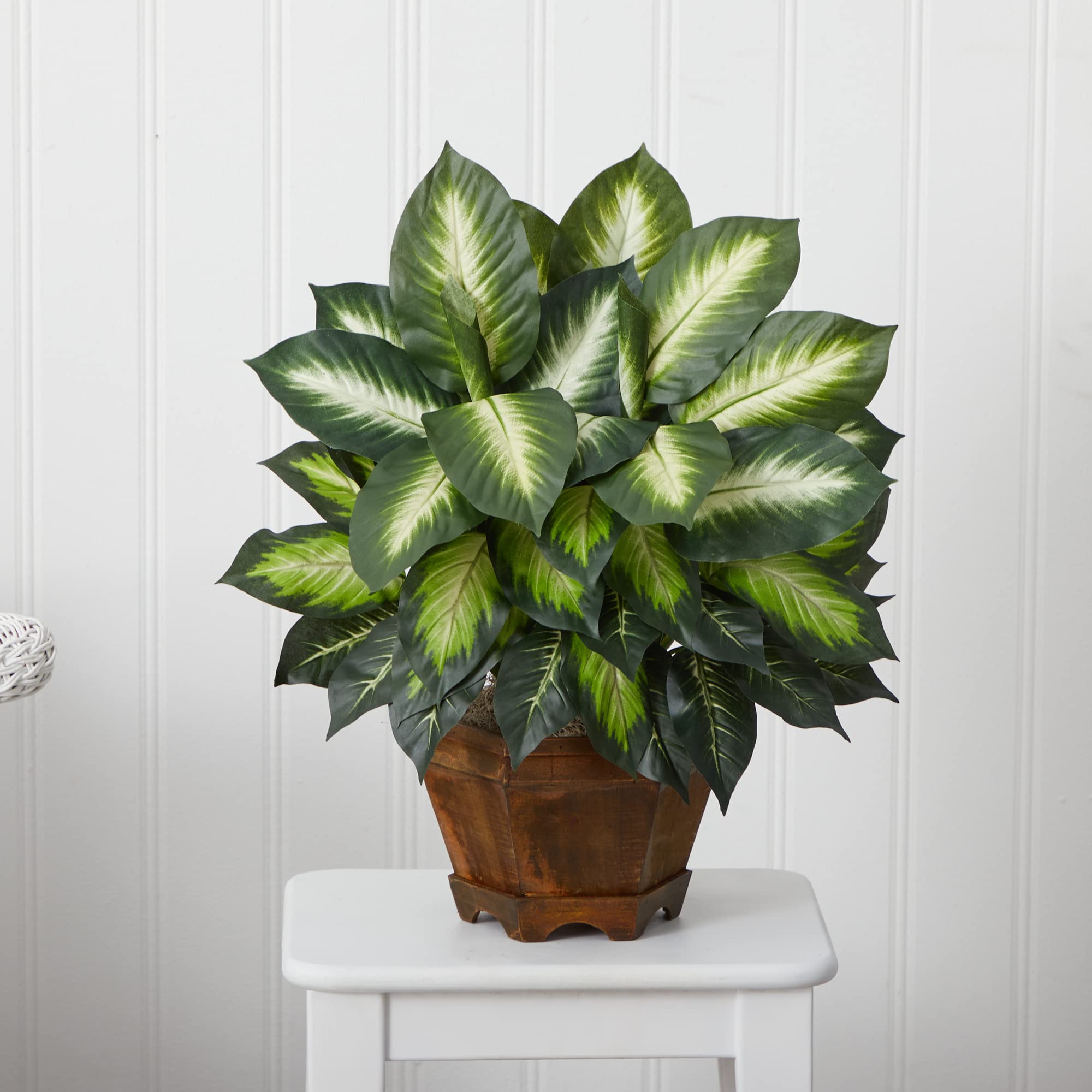 Nearly Natural 22IN Artificial Triple Golden Dieffenbachia Plant with Decorative Wood Planter, Faux Plant for Indoor Home Décor - Image 6