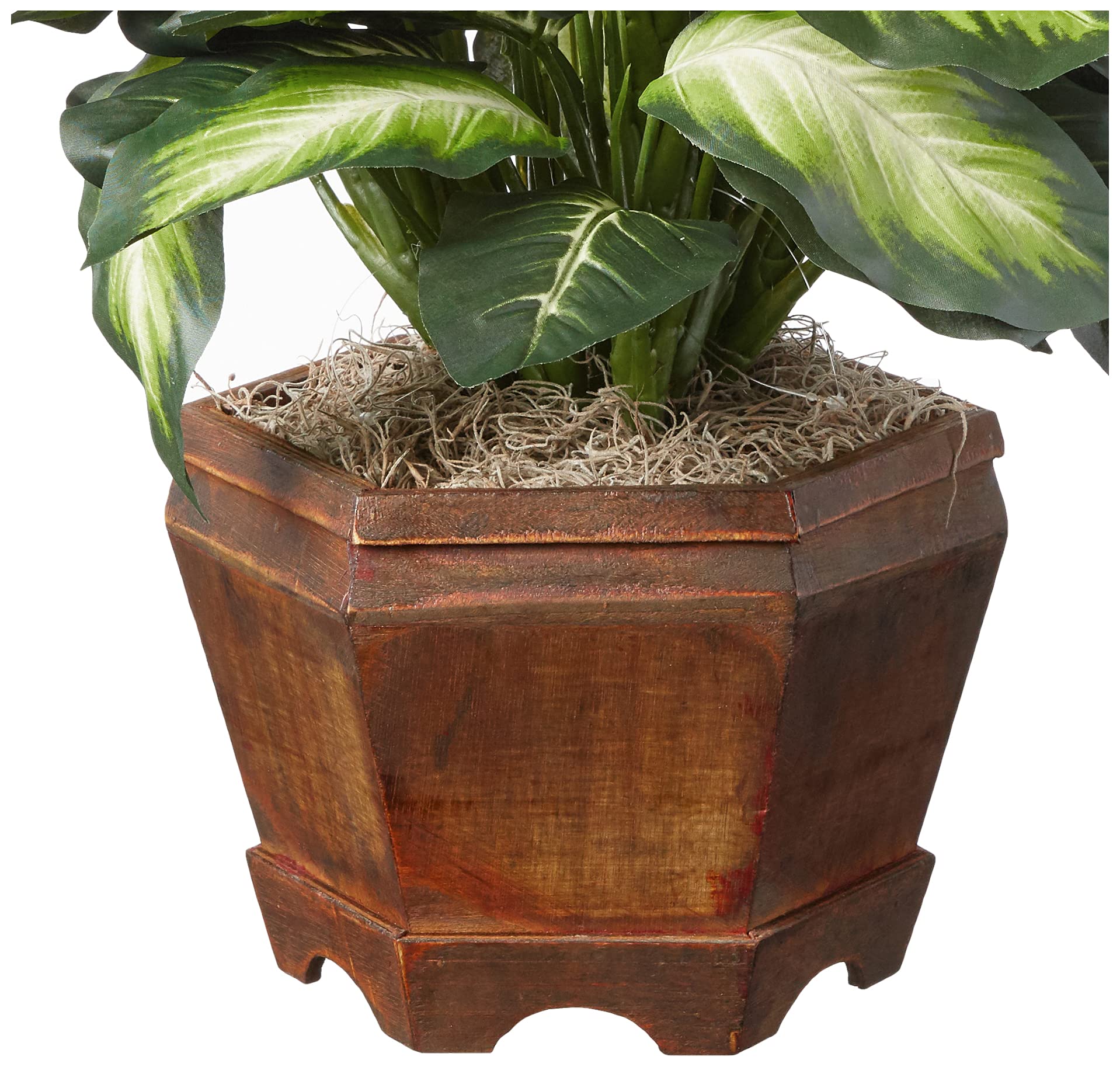Nearly Natural 22IN Artificial Triple Golden Dieffenbachia Plant with Decorative Wood Planter, Faux Plant for Indoor Home Décor - Image 7