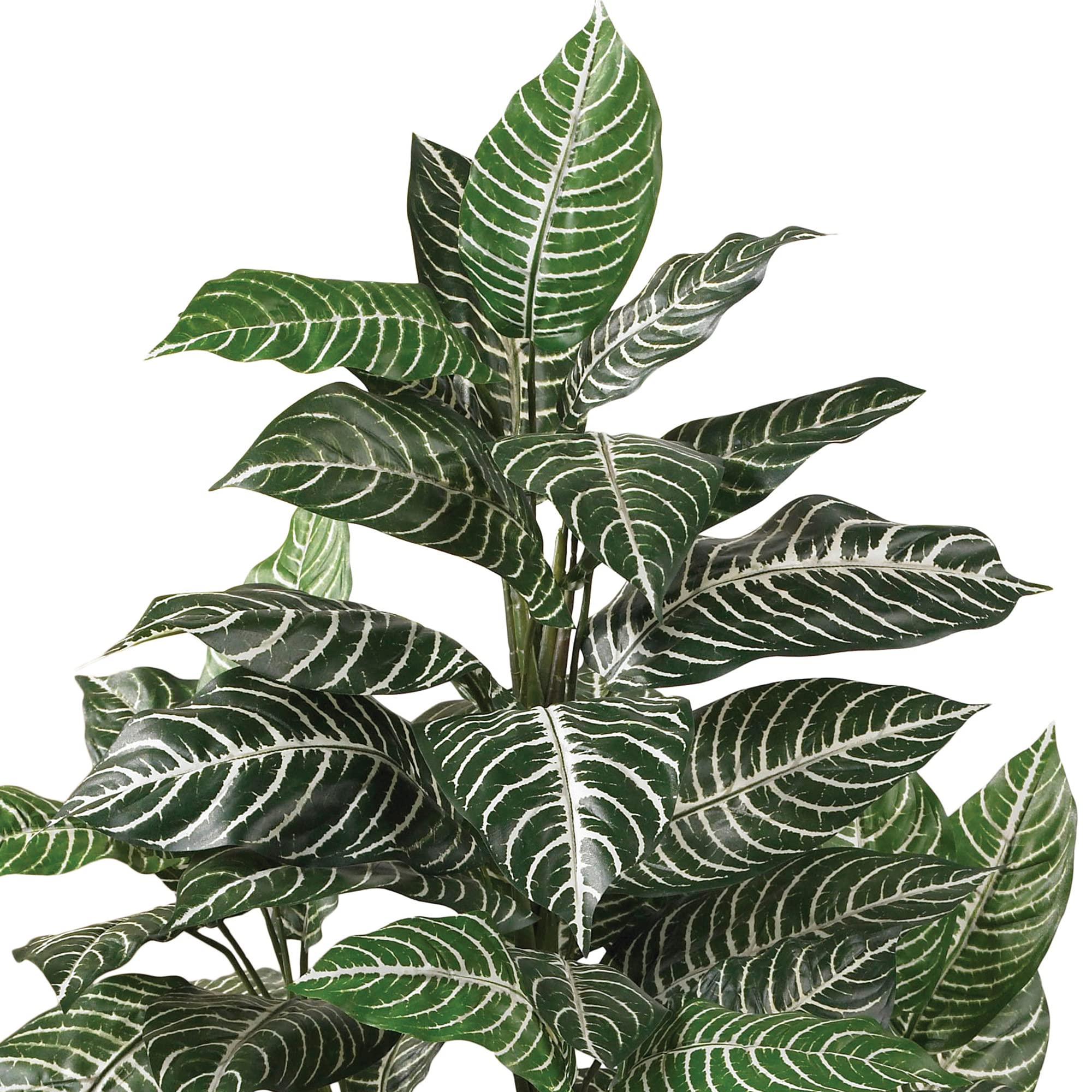 Nearly Natural 3ft Zebra Silk Plant - Image 3
