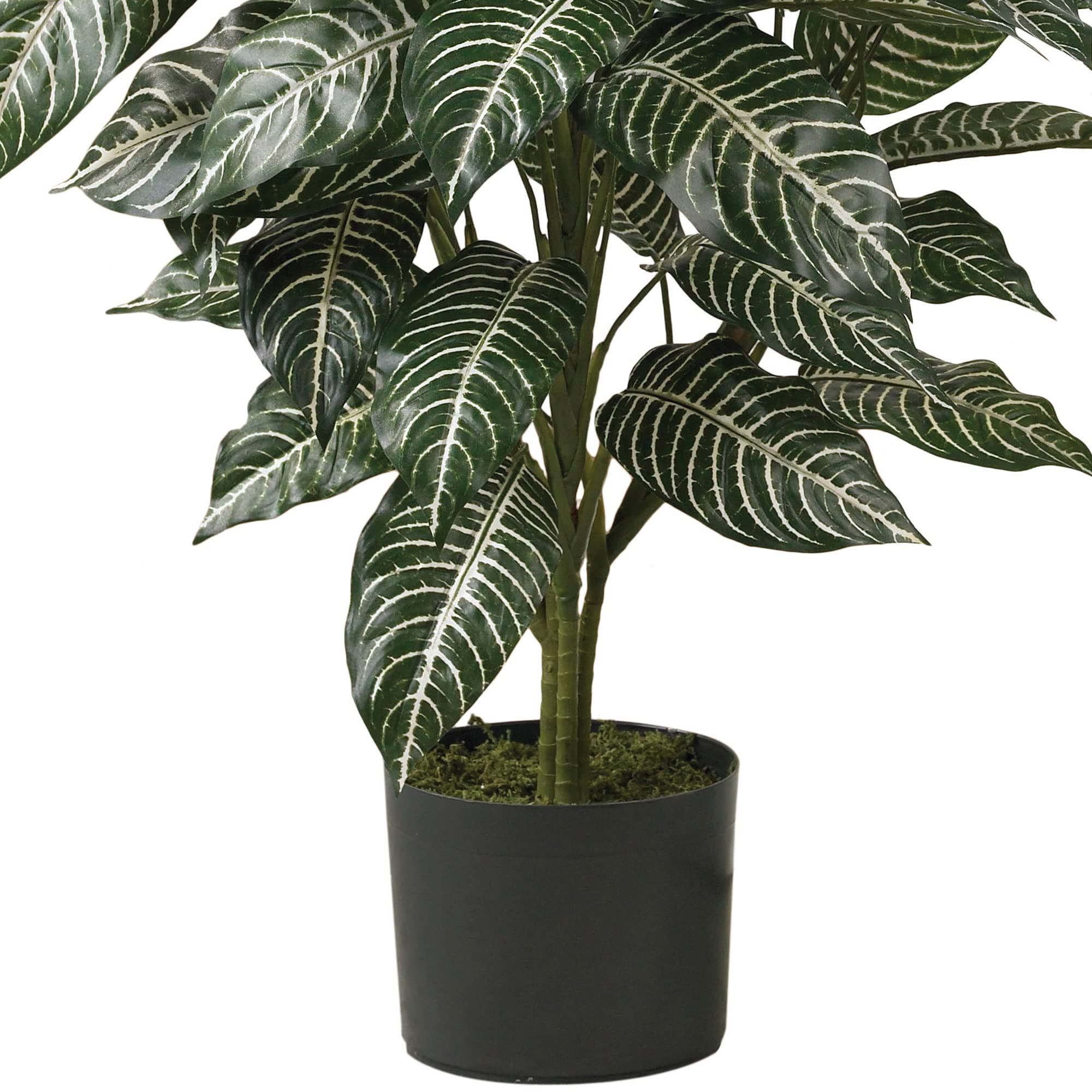 Nearly Natural 3ft Zebra Silk Plant - Image 4