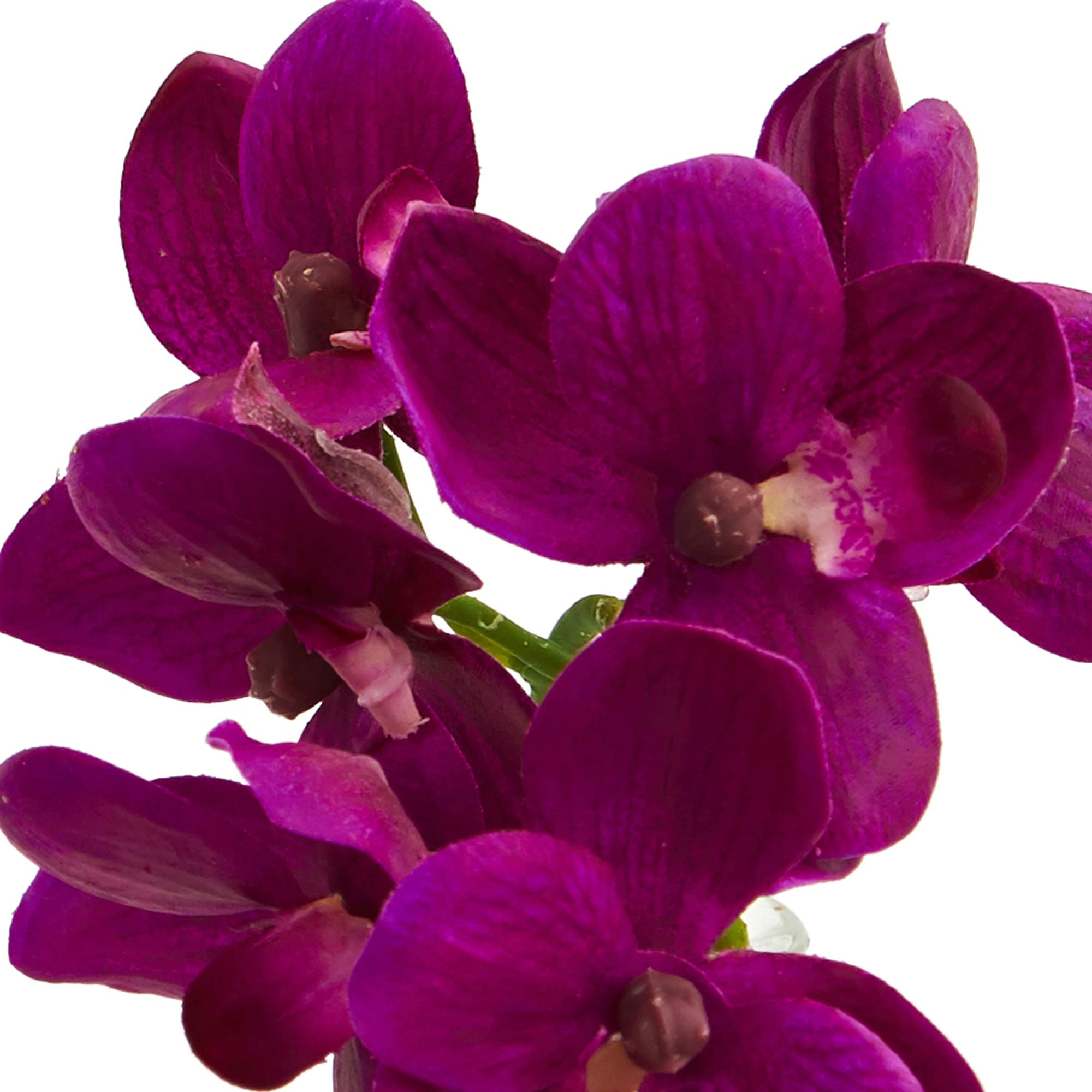 Nearly Natural 4208-S3 9" Phalaenopsis Orchid Artificial Arrangement in Vase (Set of 3) 9" Phalaenopsis Orchid Arrangement in Vase, Multi/Color - Image 3
