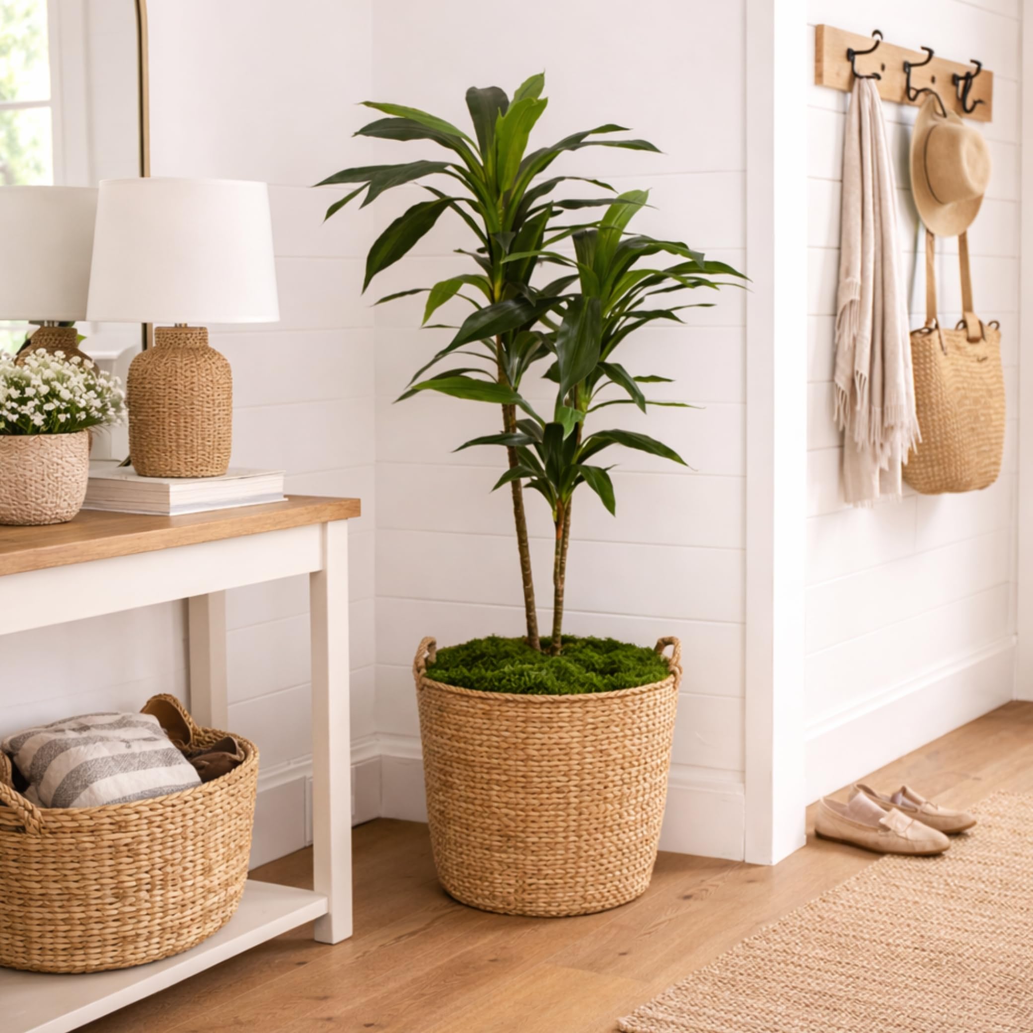 Nearly Natural 48in Artificial Dracaena with Real Touch Leaves and Multi Tonal Trunks, Large Indoor Silk Plant with Pot, Maintenance Free For Living Room And Home Office Decor - Image 11