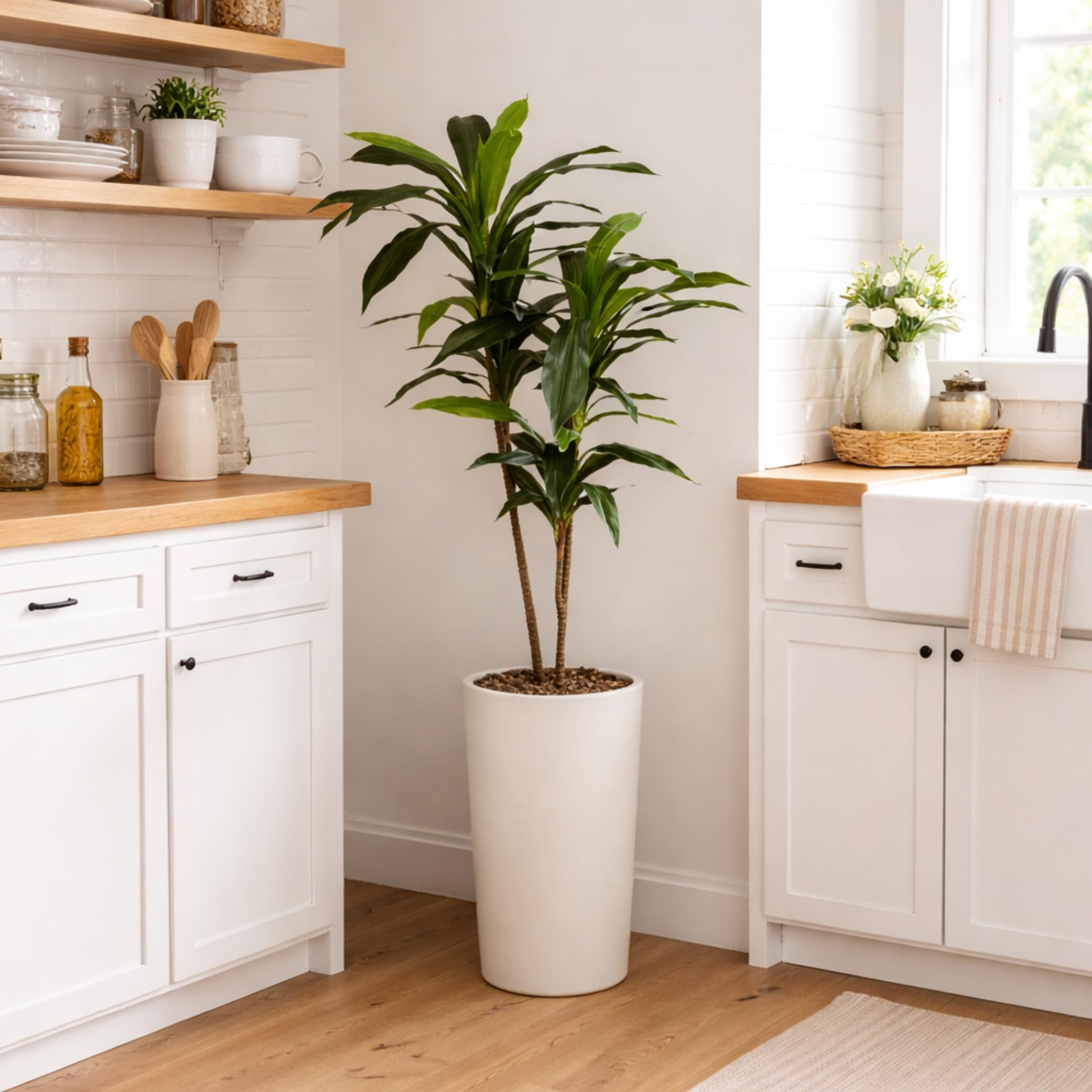 Nearly Natural 48in Artificial Dracaena with Real Touch Leaves and Multi Tonal Trunks, Large Indoor Silk Plant with Pot, Maintenance Free For Living Room And Home Office Decor - Image 12