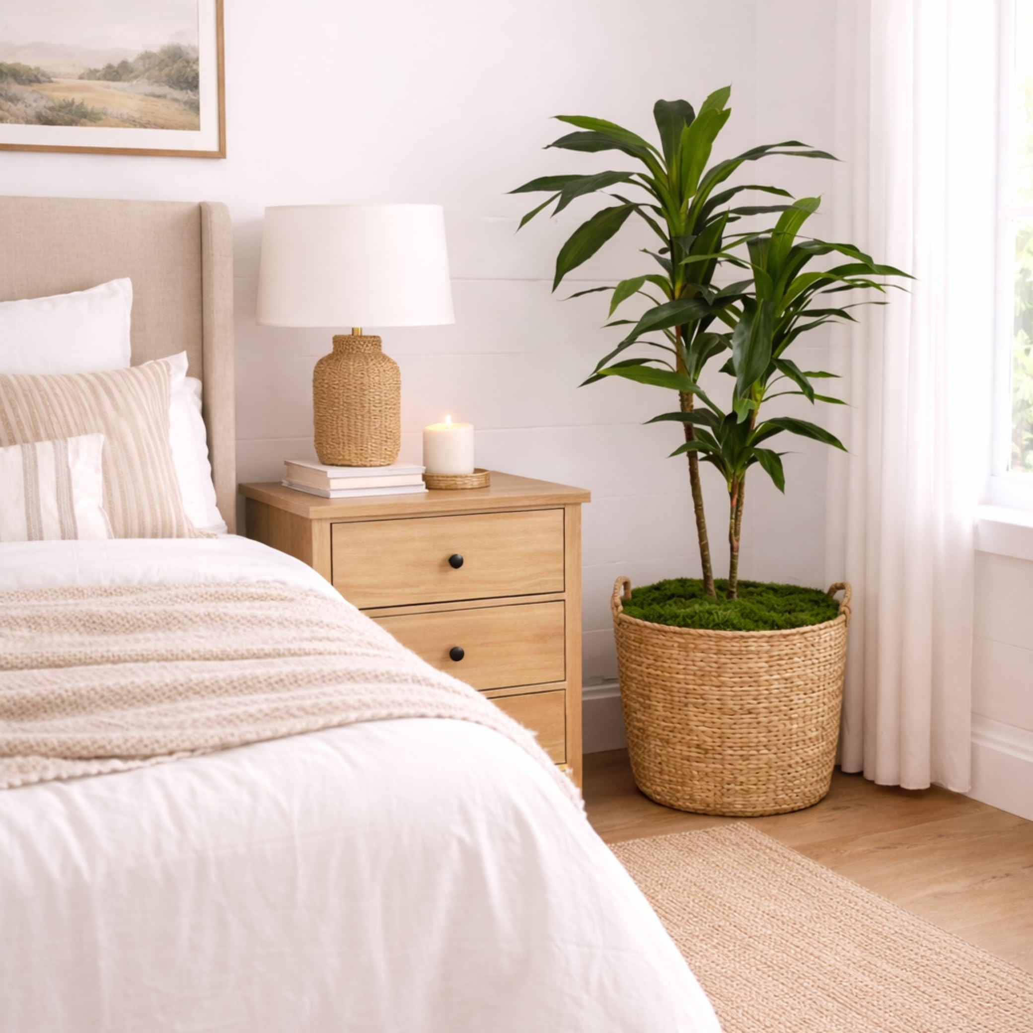 Nearly Natural 48in Artificial Dracaena with Real Touch Leaves and Multi Tonal Trunks, Large Indoor Silk Plant with Pot, Maintenance Free For Living Room And Home Office Decor - Image 13