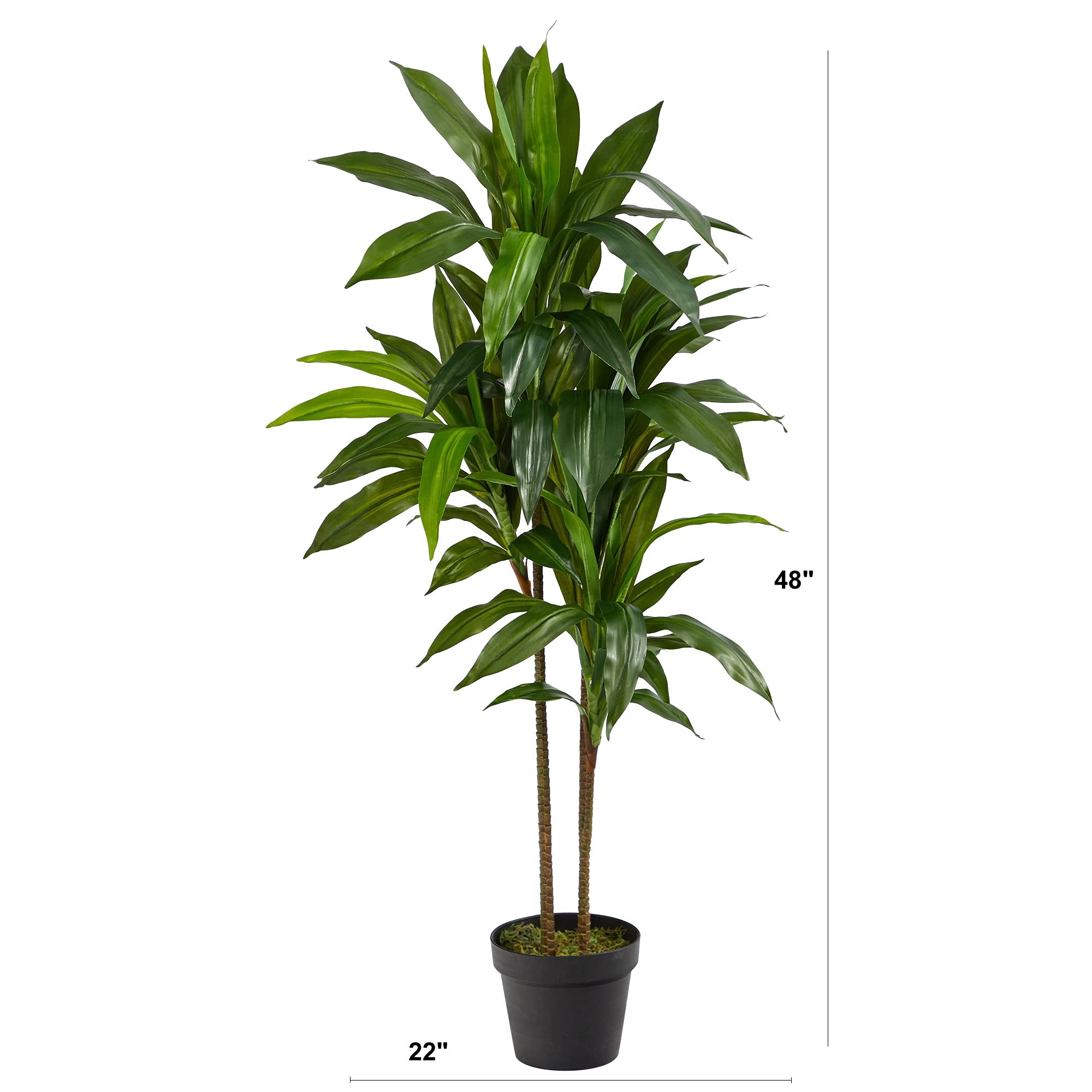 Nearly Natural 48in Artificial Dracaena with Real Touch Leaves and Multi Tonal Trunks, Large Indoor Silk Plant with Pot, Maintenance Free For Living Room And Home Office Decor - Image 3