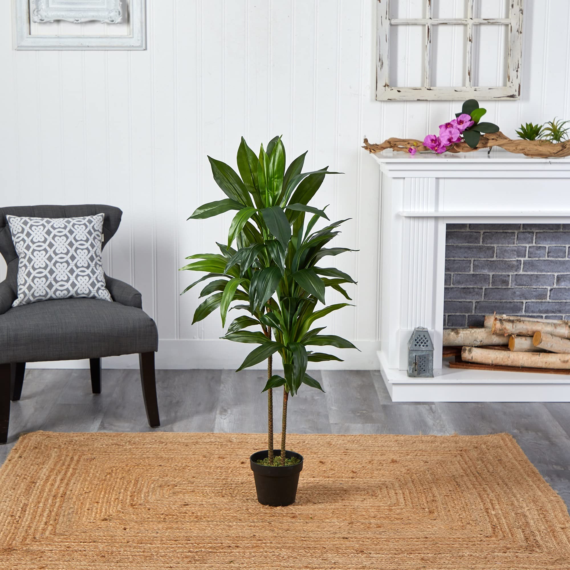 Nearly Natural 48in Artificial Dracaena with Real Touch Leaves and Multi Tonal Trunks, Large Indoor Silk Plant with Pot, Maintenance Free For Living Room And Home Office Decor - Image 5