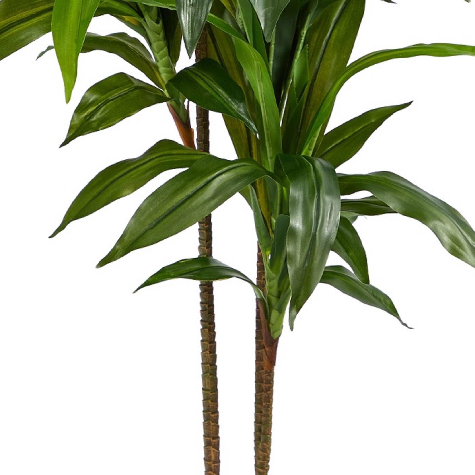 Nearly Natural 48in Artificial Dracaena with Real Touch Leaves and Multi Tonal Trunks, Large Indoor Silk Plant with Pot, Maintenance Free For Living Room And Home Office Decor - Image 7