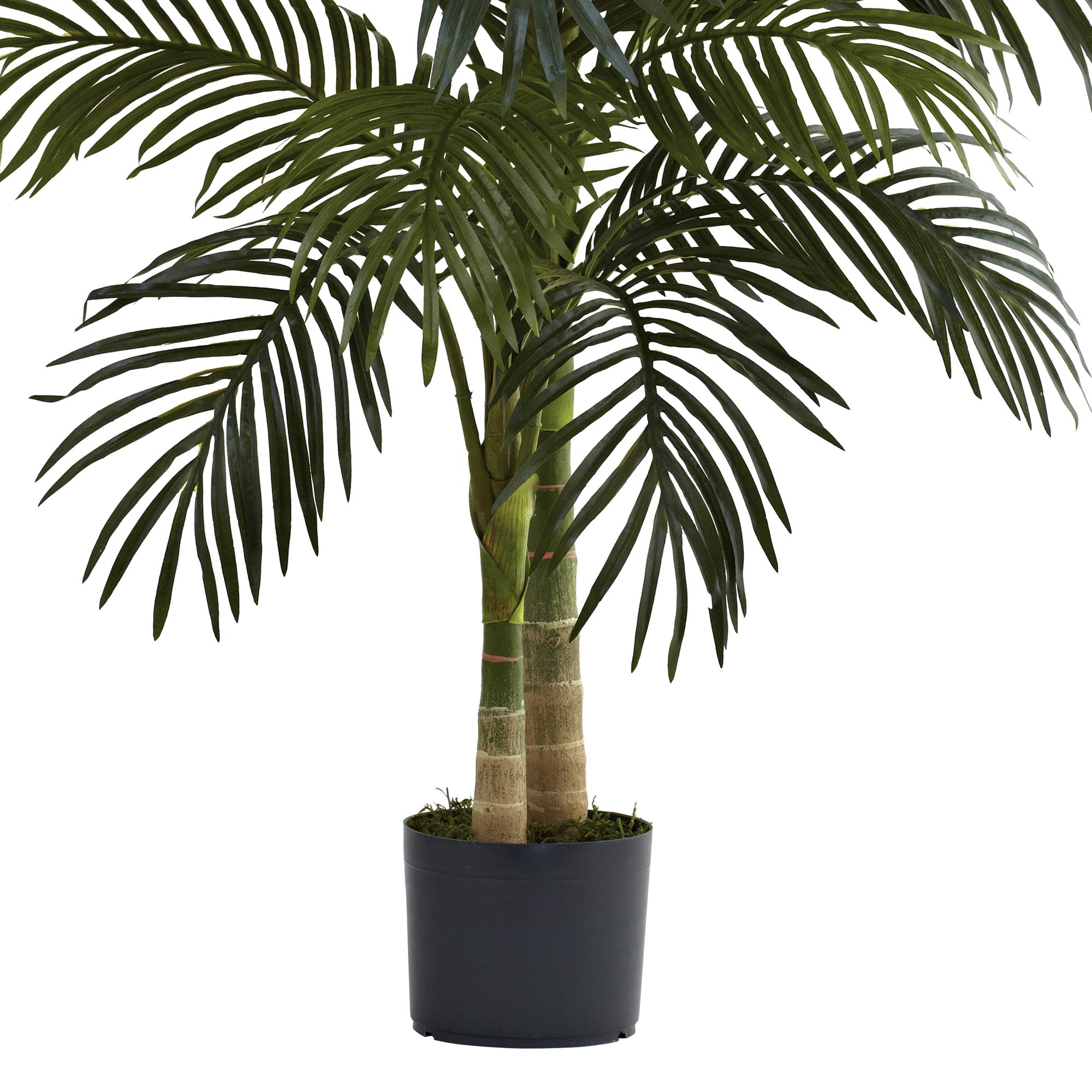 Nearly Natural 4ft Golden Cane Palm, Double Stalk Artificial Tree With Lush Realistic Foliage Maintenance Free Indoor Faux Palm Plant For Living Room, Easy Setup, Perfect Tropical Decoration - Image 6
