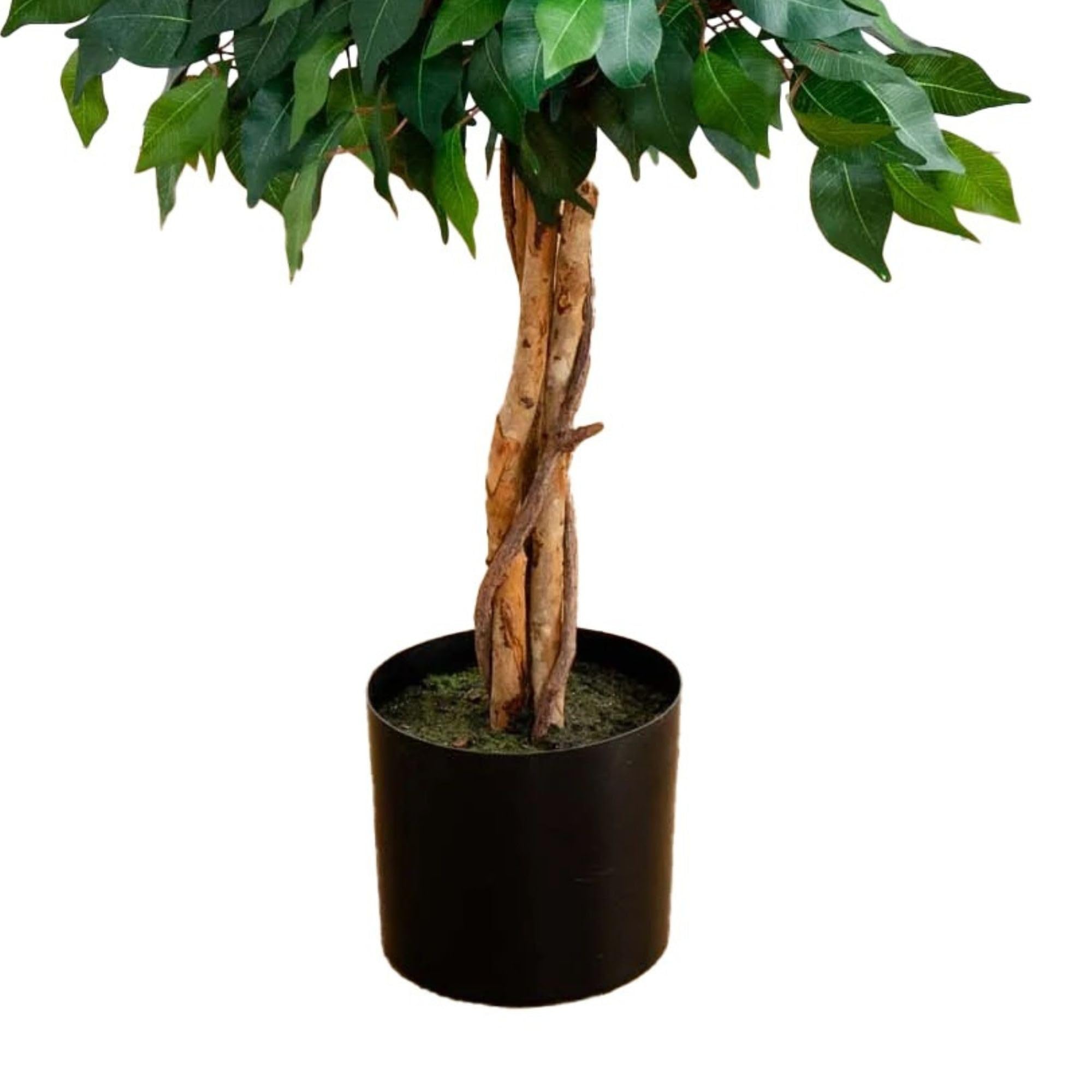 Nearly Natural 4ft Triple Trunk Artificial Ficus Tree With Natural Wood Trunks, Indoor Faux Ficus, Black Nursery Pot, Living Room Home Decor - Image 5