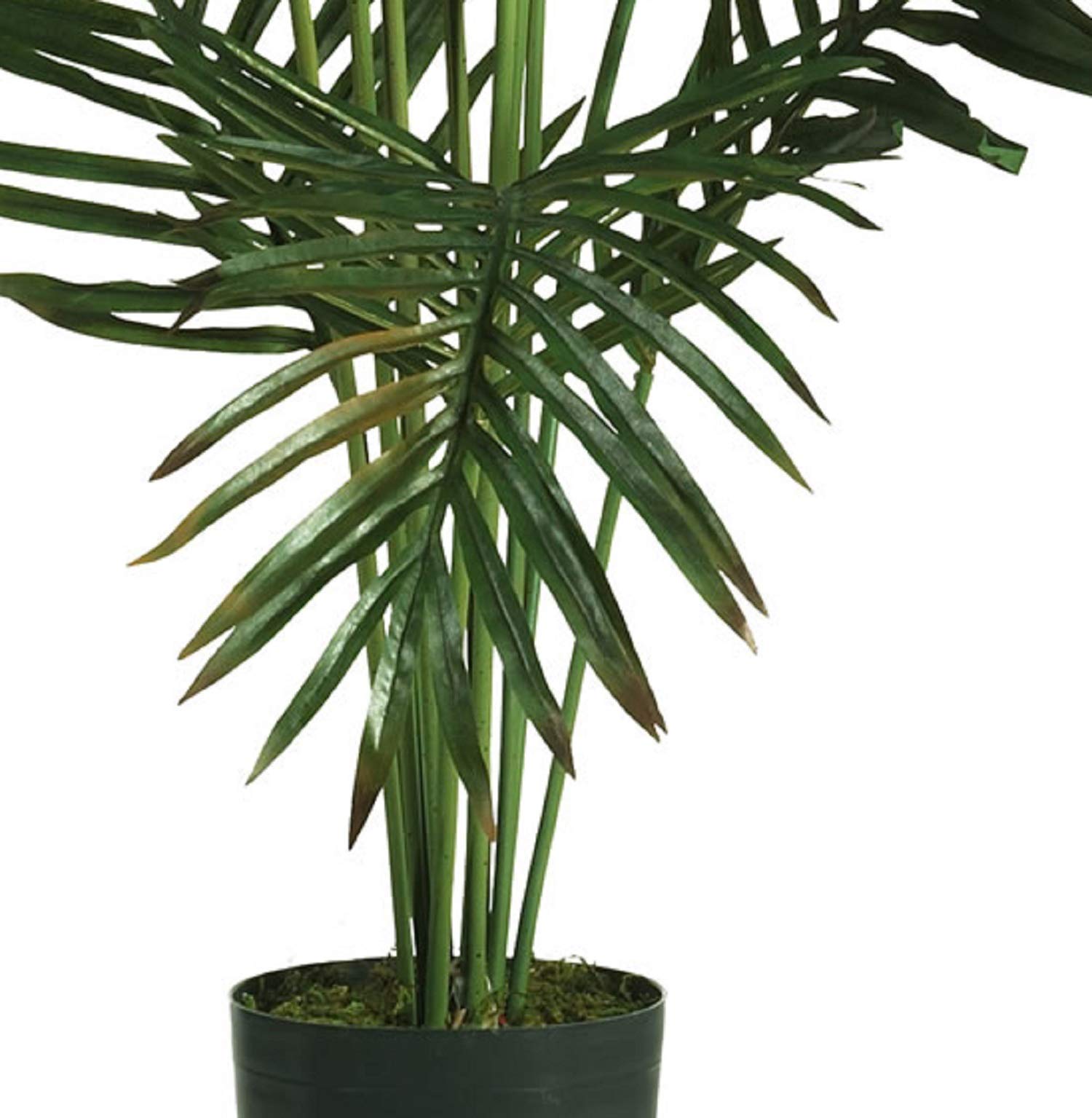Nearly Natural 5FT Tall Artificial Paradise Palm Plant, Fake Palm Tree with 12 Trunks and Realistic Palm Leaves, Faux palm Tree for Indoor Home Décor with Black Nursery Planter - Image 5
