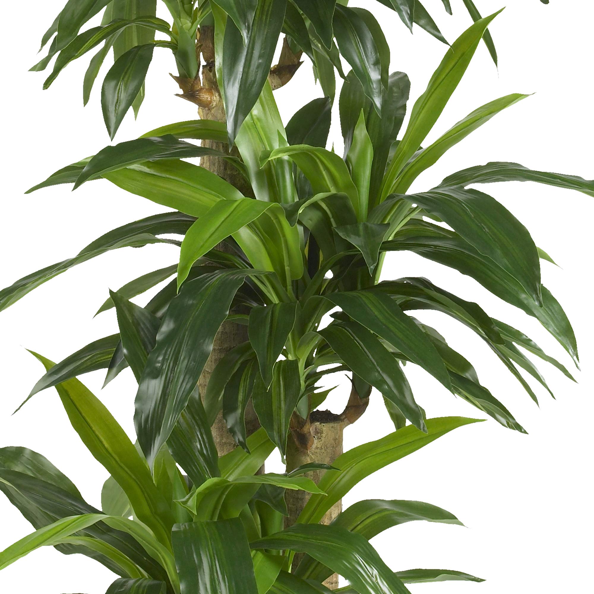 Nearly Natural 62IN Artificial Corn Stalk Dracaena Plant, Tall Fake Plant for Indoor Home Décor, Real Touch Faux Plant - Image 3