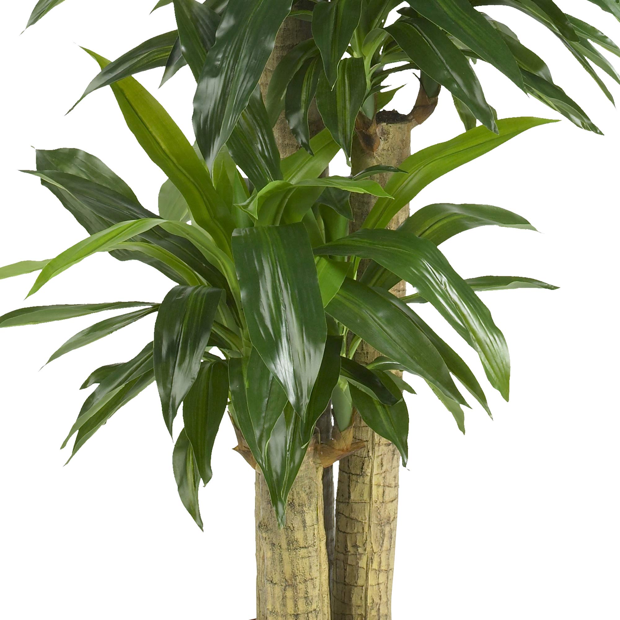 Nearly Natural 62IN Artificial Corn Stalk Dracaena Plant, Tall Fake Plant for Indoor Home Décor, Real Touch Faux Plant - Image 4