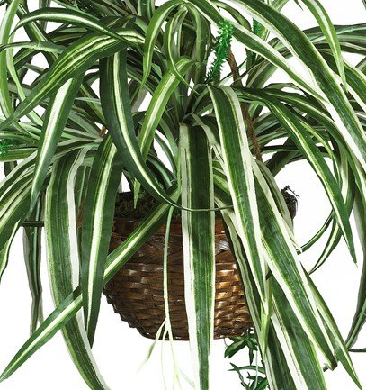 Nearly Natural 6607 Spider Hanging Basket Decorative Silk Plant, Green,10.25" x 10.25" x 17.5" - Image 3