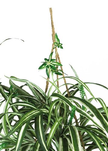 Nearly Natural 6607 Spider Hanging Basket Decorative Silk Plant, Green,10.25" x 10.25" x 17.5" - Image 4