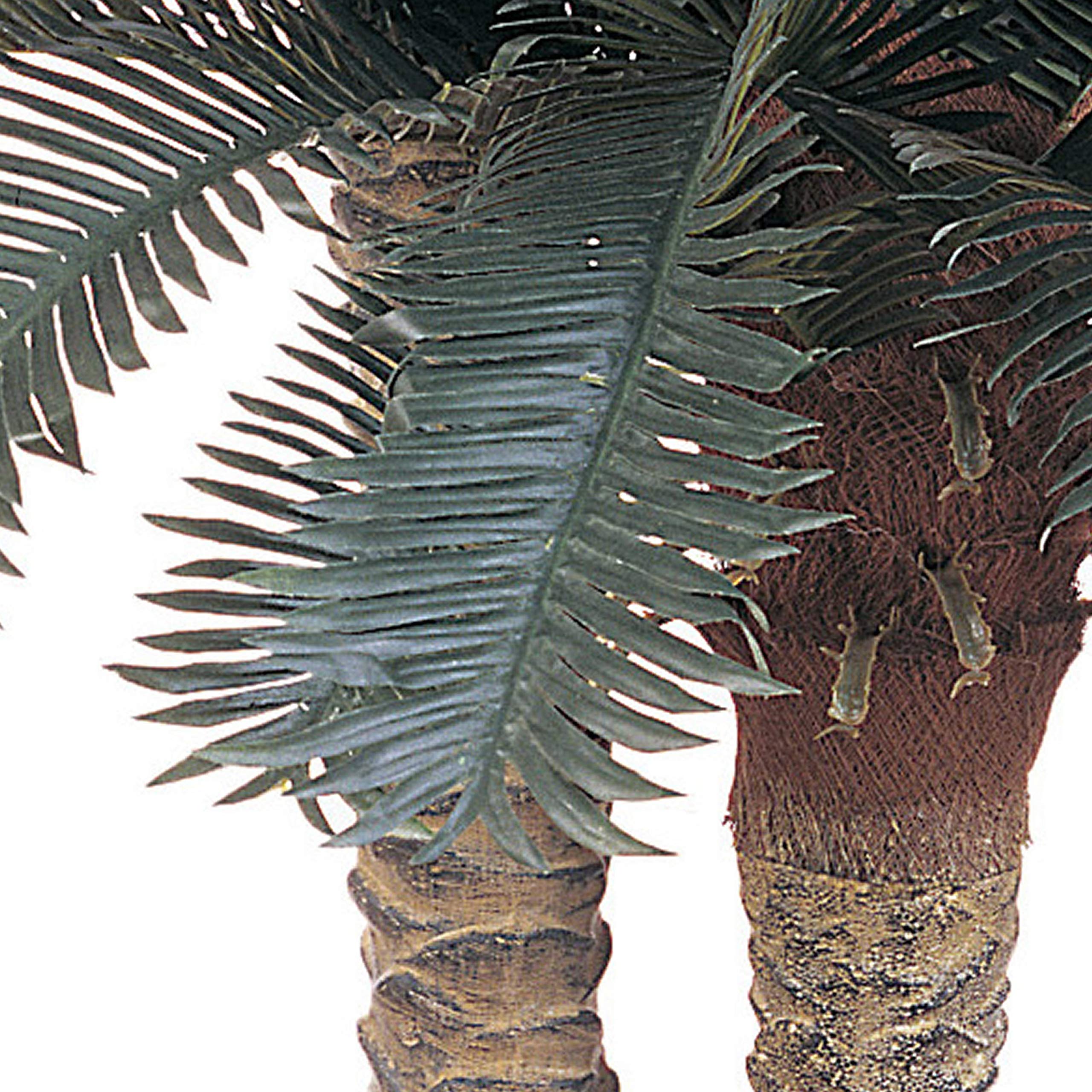 Nearly Natural 6FT & 4FT Artificial Sago Palm Trees Double Potted, Fake Palm Trees with Two Realistic Trunks and 80 Lifelike Palm Leaves in 10IN Brown Wicker Basket for Indoor Home Décor - Image 4
