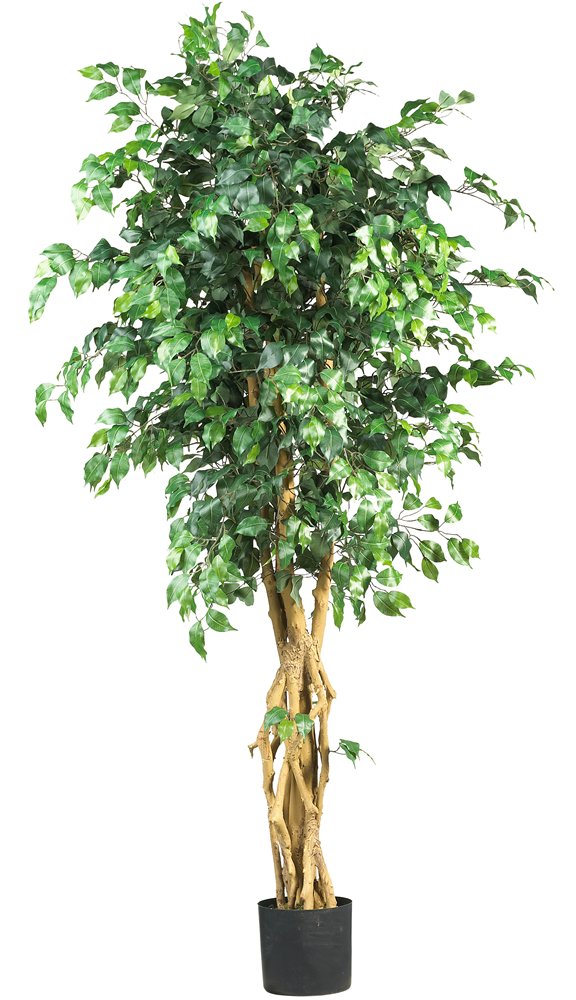 Nearly Natural 6ft. Palace Style Ficus Silk Tree - Image 3