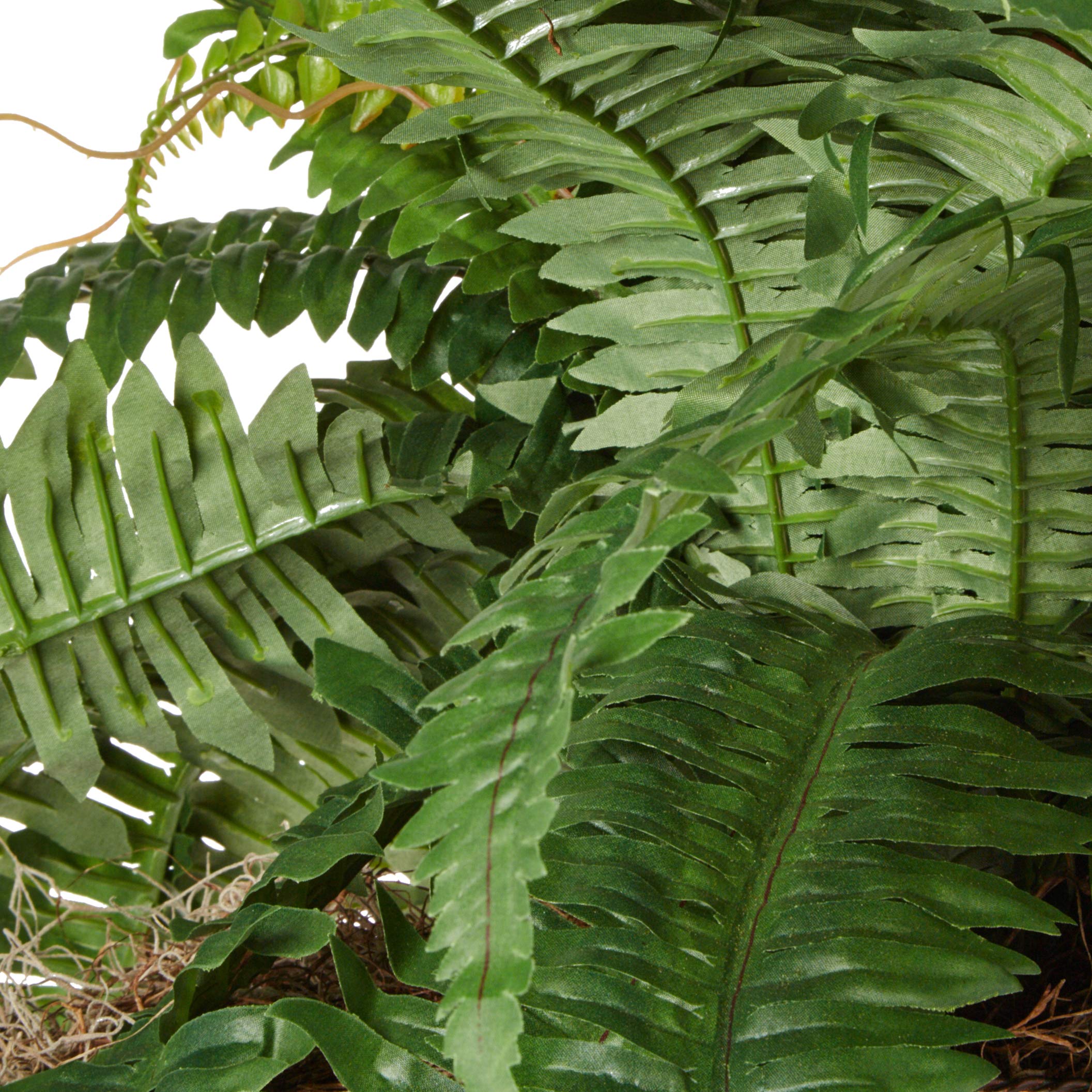 Nearly Natural Boston Fern in Metallic Planter - Image 7