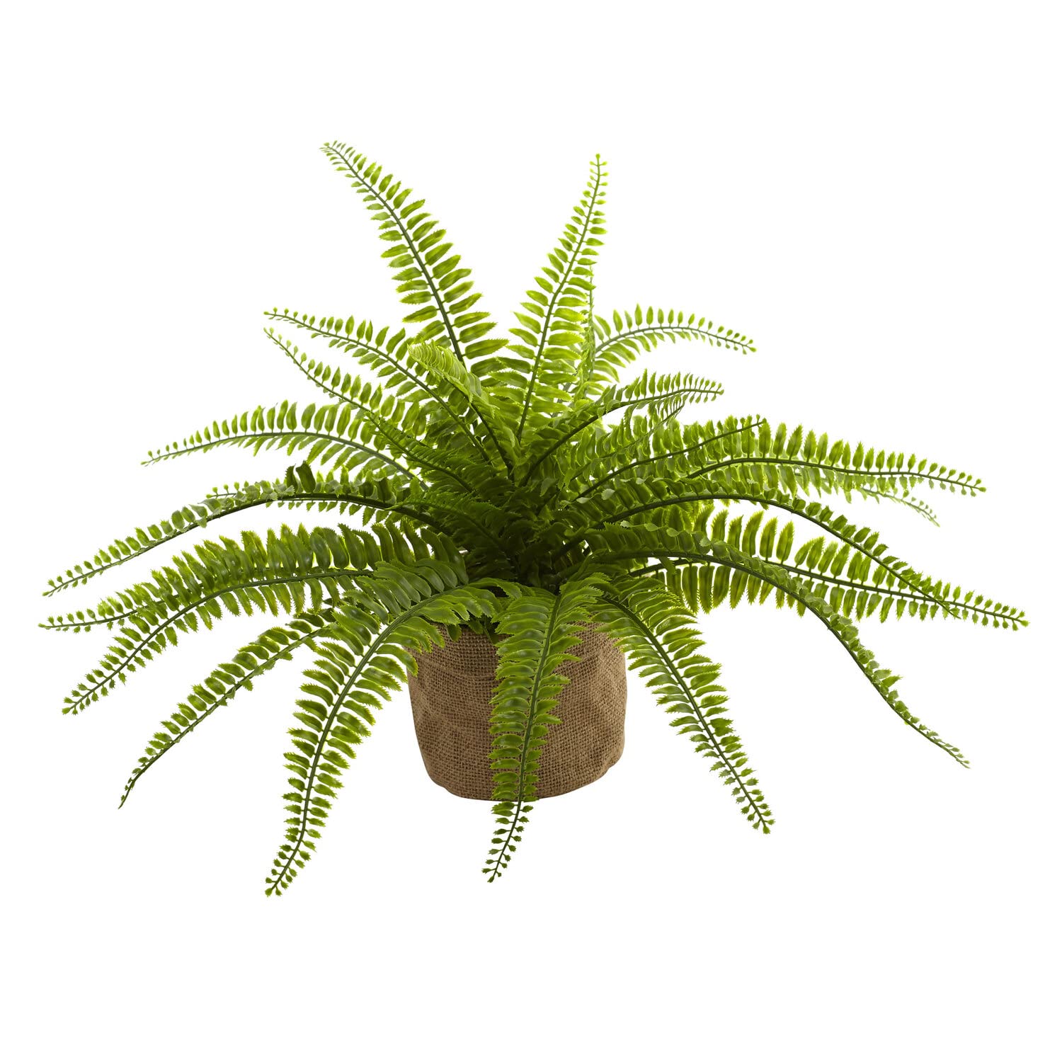 Nearly Natural Boston Fern with Burlap Planter (Set of 2) - Image 4