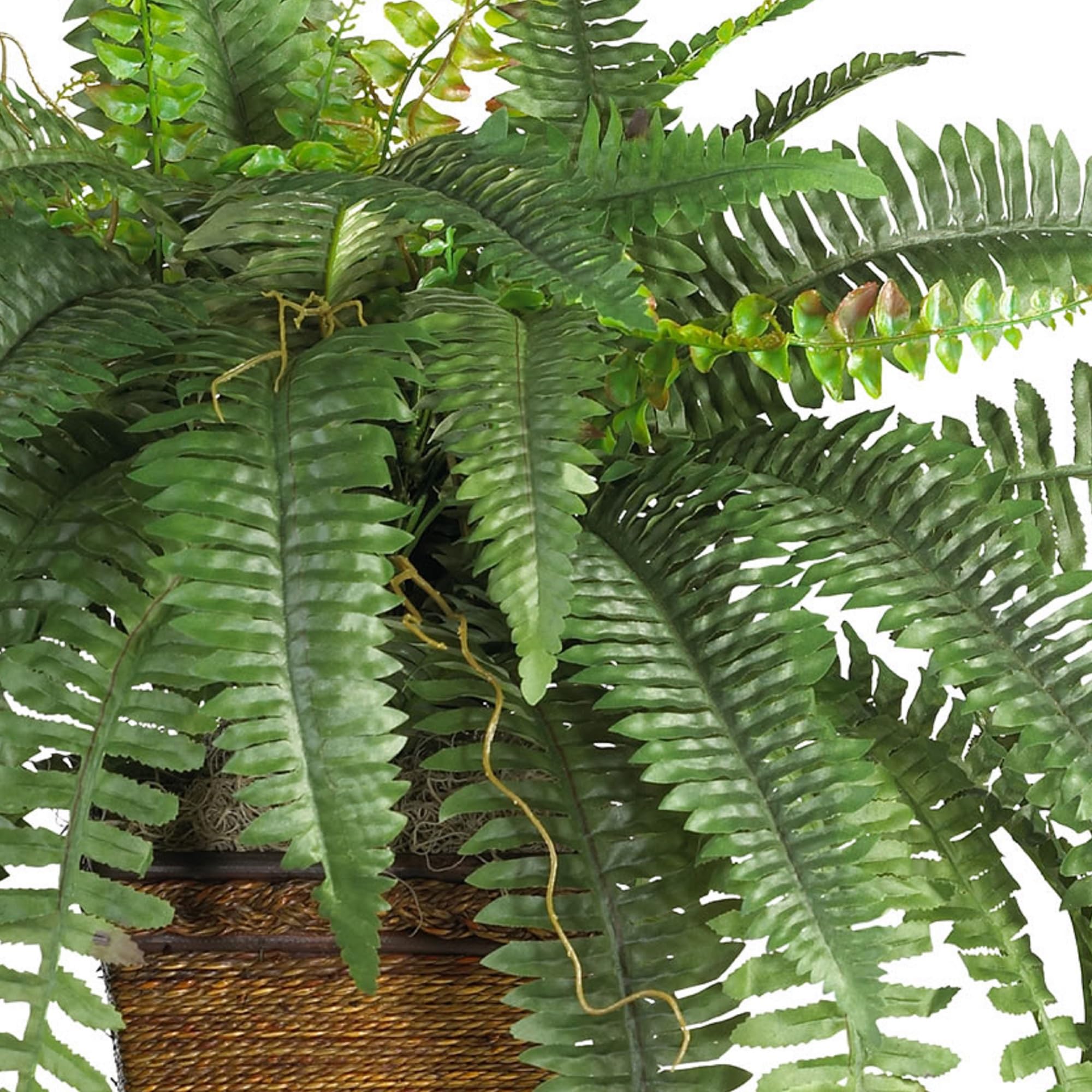 Nearly Natural Boston Fern with Wicker Basket Artificial Plant - Image 4