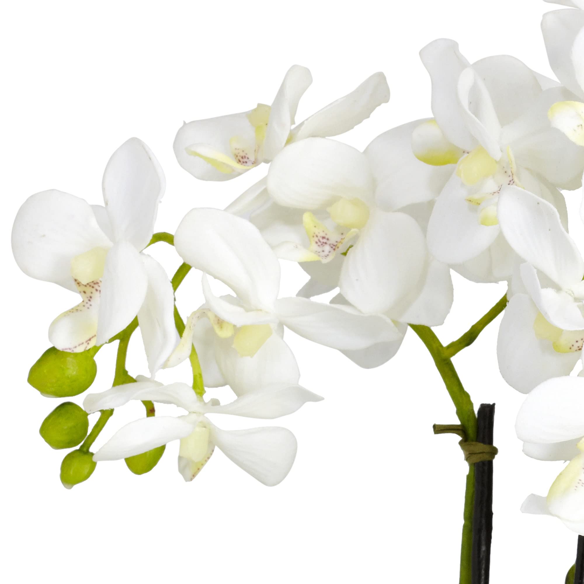 Nearly Natural Phalaenopsis Silk Flower Arrangement - Image 7